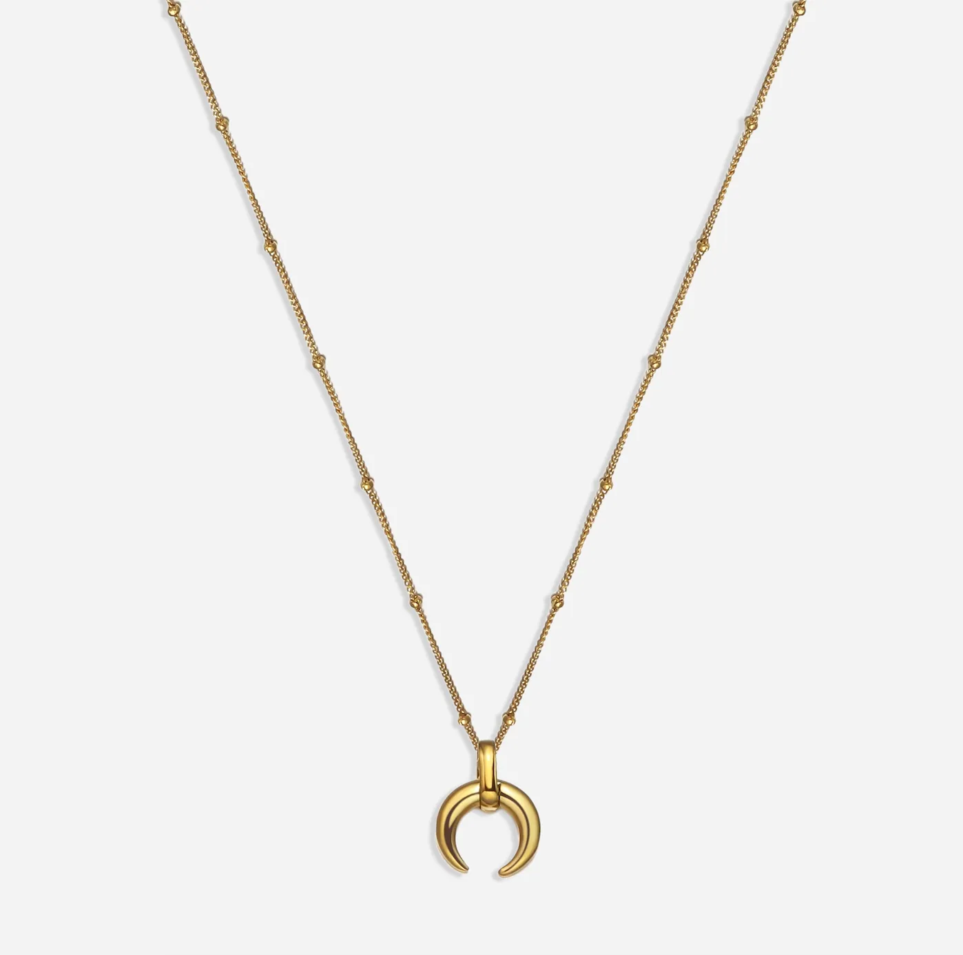 Amy Crescent Horn Necklace