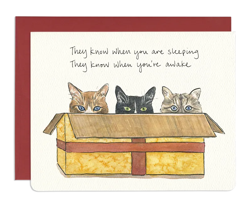  Cats in a Box  Card