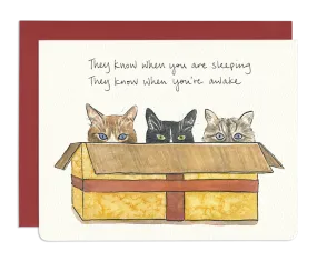  Cats in a Box  Card