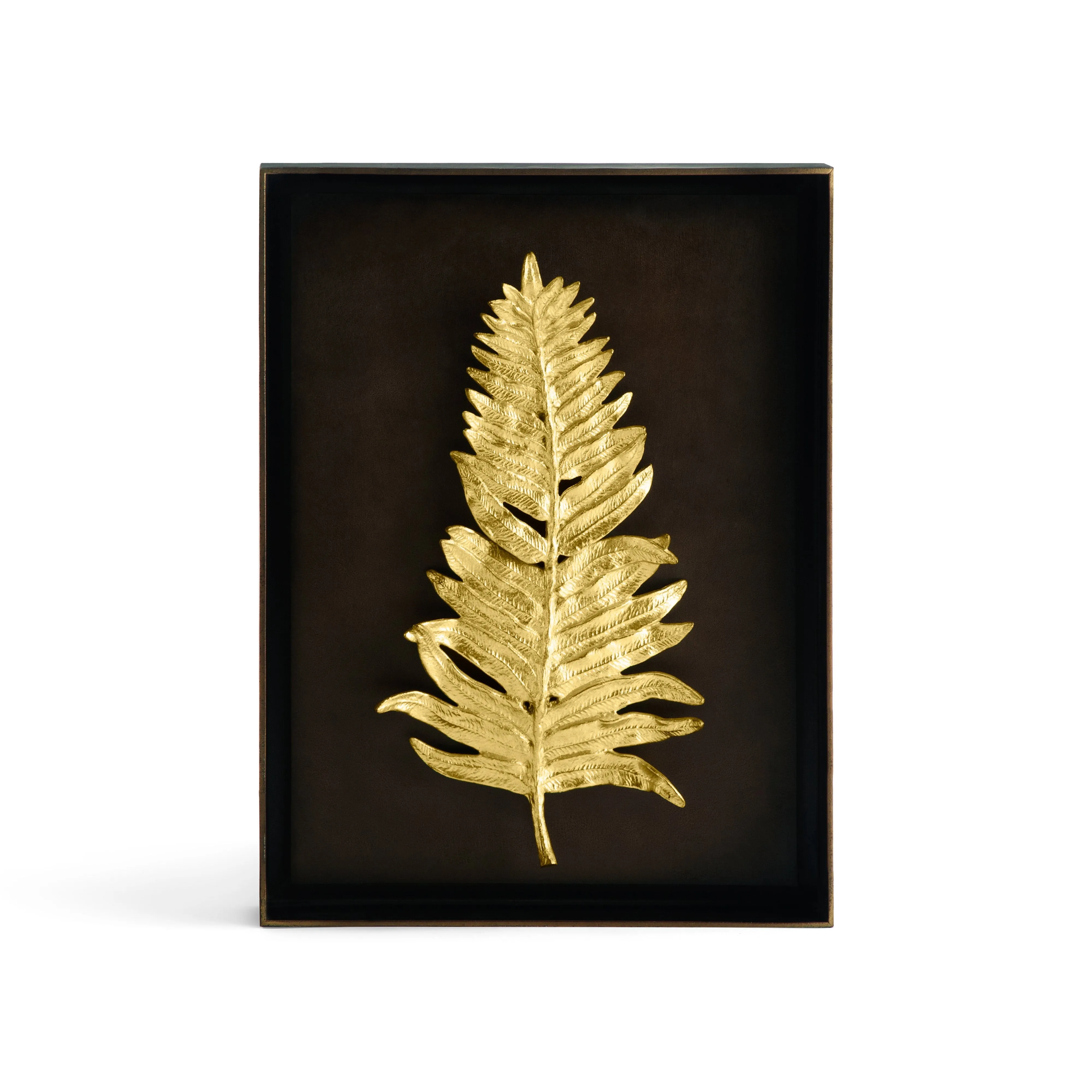 Fern Shadow Box