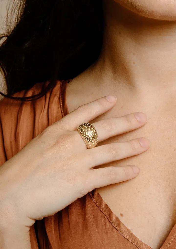 Gold Meteorite Ring