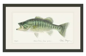 Guadalupe Bass Print