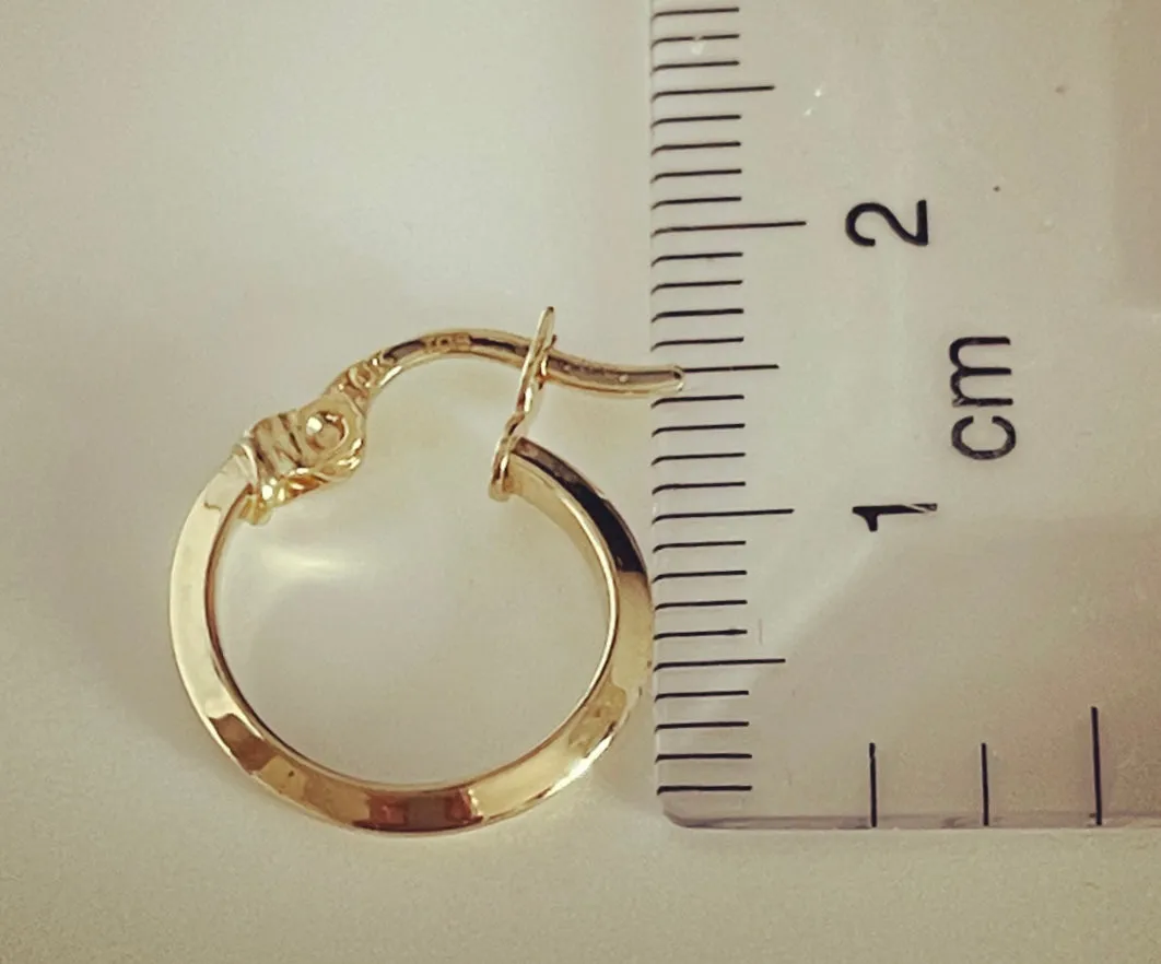 Small hoop earrings E219