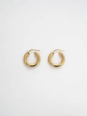 Small Tru Hoops